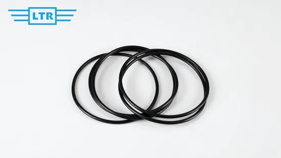 Heat Chemical Resistant Gasoline Seals Rubber O Ring FKM Oring O